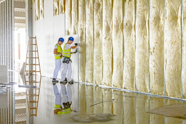 Best Residential Insulation in Burlington, ND